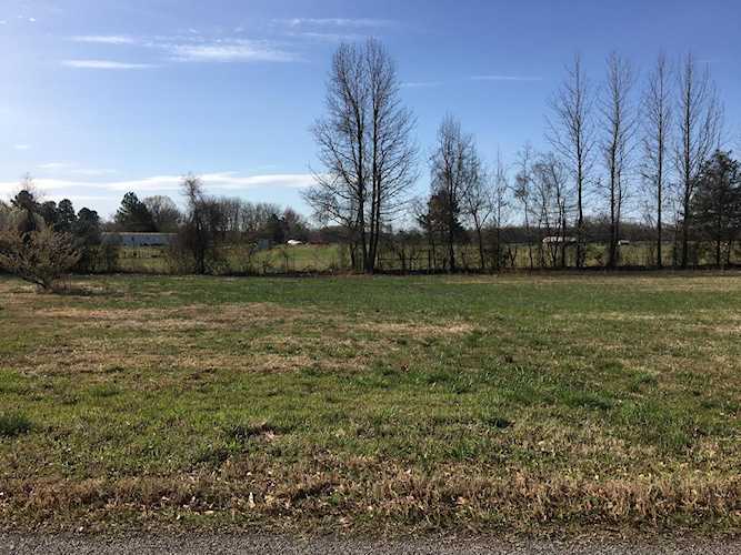 Carter Road, Pottsville, Pope county, AR 72858 Photo 1