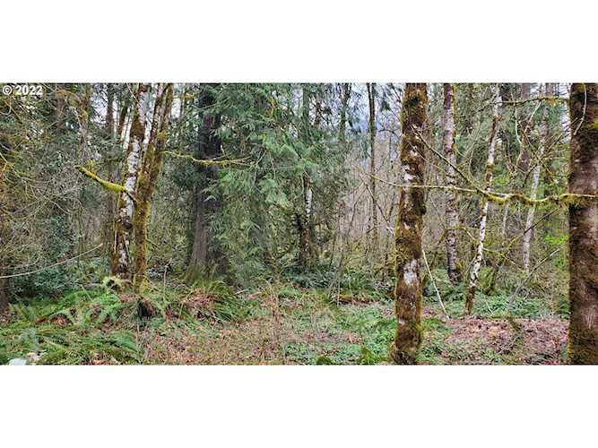0 E Huckleberry Dr Welches, OR 97067 | MLS 22078842 Photo 1
