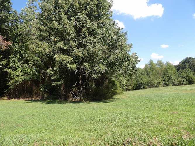 Lot 40 Pittsburg Landing Estates, Knoxville, Johnson county, AR 72845 Photo 1