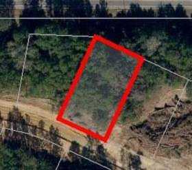 XXX Crimson Clover Way Tallahassee, FL 32311