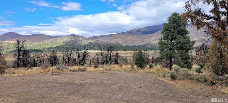778 Big Valley Gardnerville, NV 89410