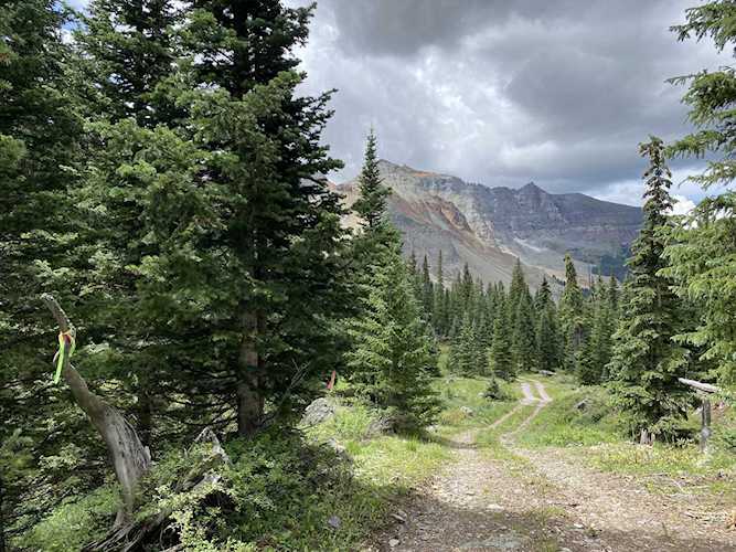 Lot 46 Fs 627 Hope Lake #46 Ophir, COLORADO 81426