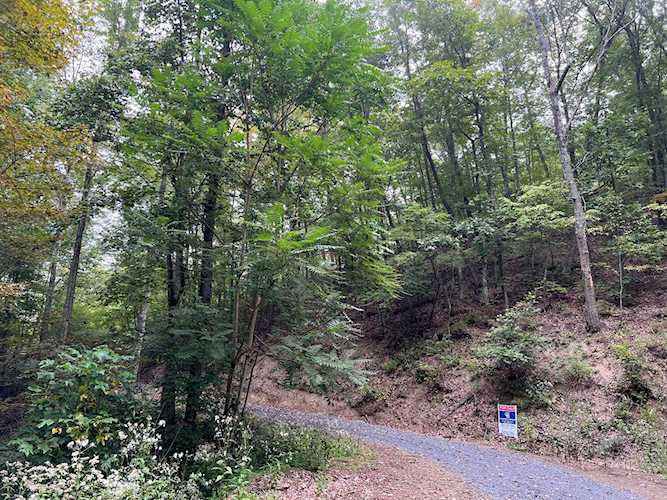Blackberry Way At Overlook Caldwell, WV 24925