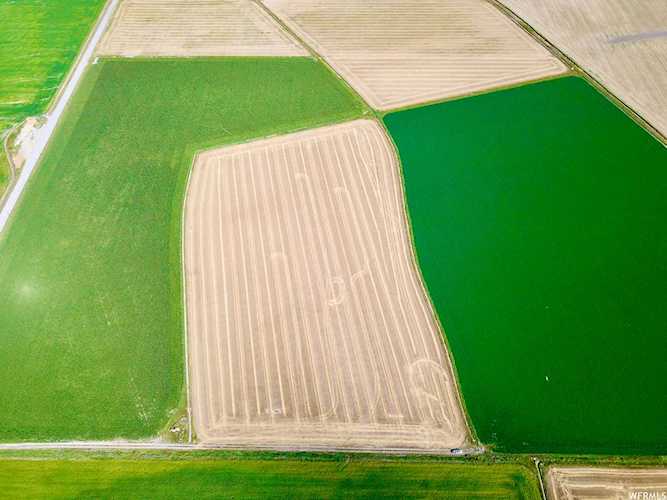17600 N 3600 W Fielding, UT 84311