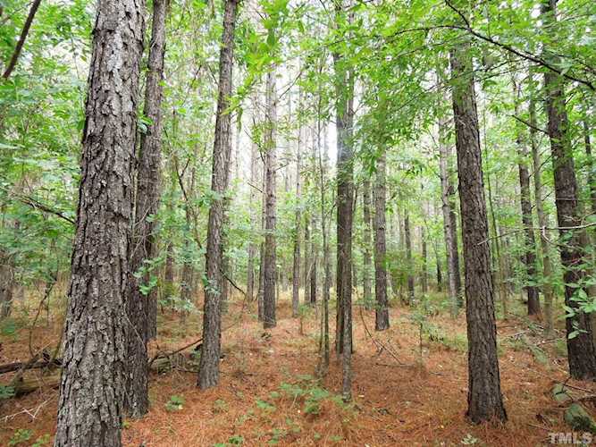 tbd Mt View Church Road Moncure, NC 27559