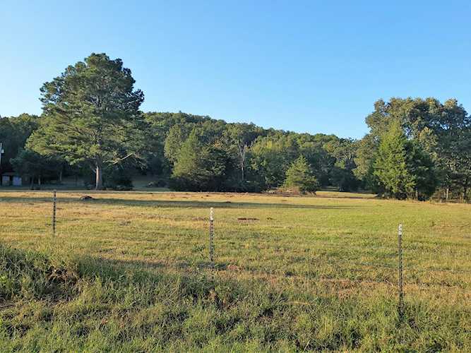 1032 Wallace Ridge Rd Dover, AR 72837