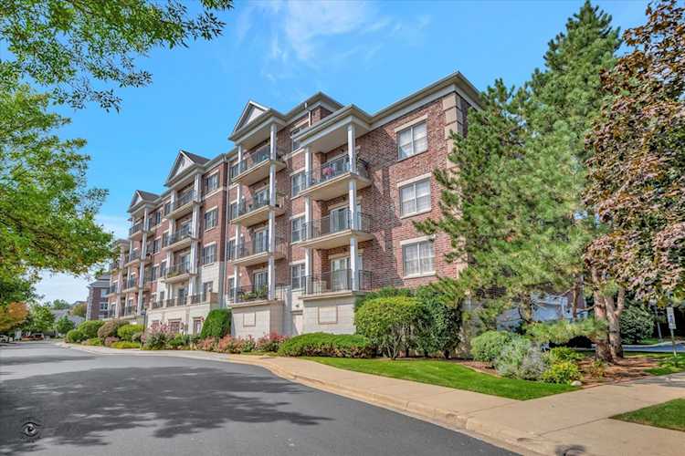 412 Mc Daniels Circle #307 Clarendon Hills, IL 60514