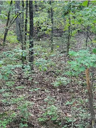 E Cliff Dr Fairfield Bay, AR 72088