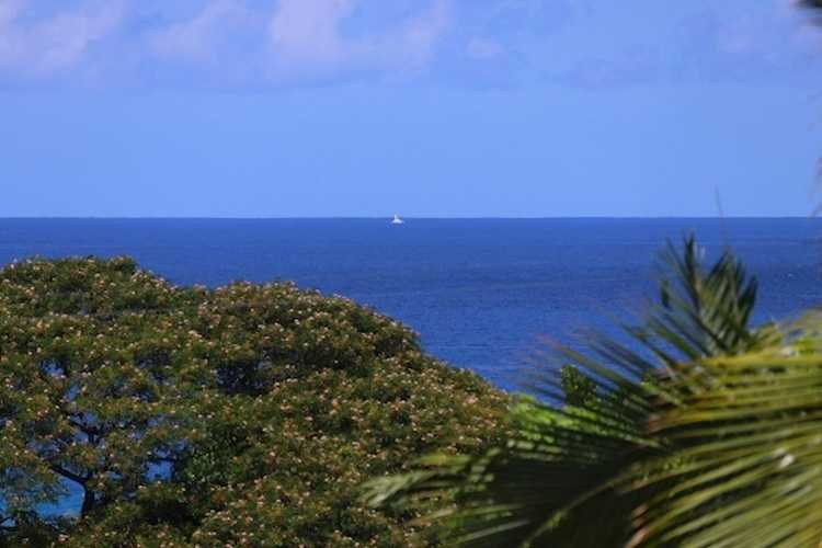 82-6286 Puuhonua Rd Captain Cook, HI 96704