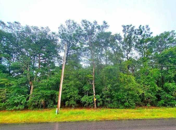 Lot 8 Michaelmas Circle Defuniak Springs, FL 32433 | MLS 908408 Photo 1