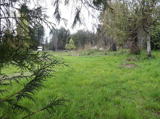 45663 N Gate Creek RD Vida, OR 97488