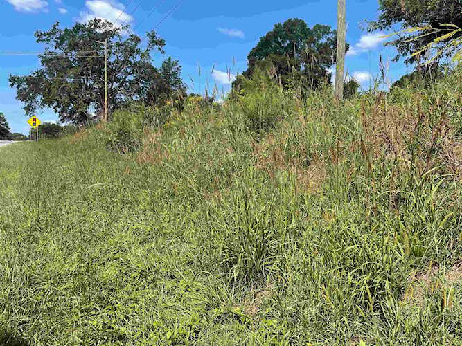10350 Greenville Highway Wellford, SC 29385
