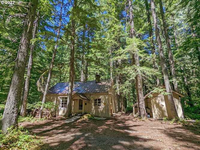 78815 E Road 35 Lot 125 Government Camp, OR 97028