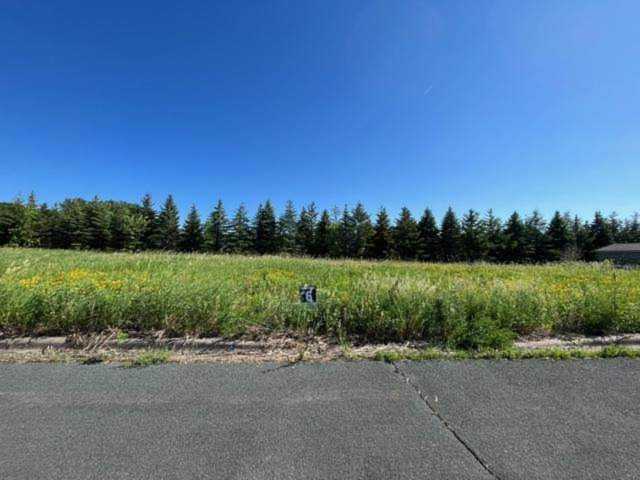 863 Meander Court Medina, MN 55340