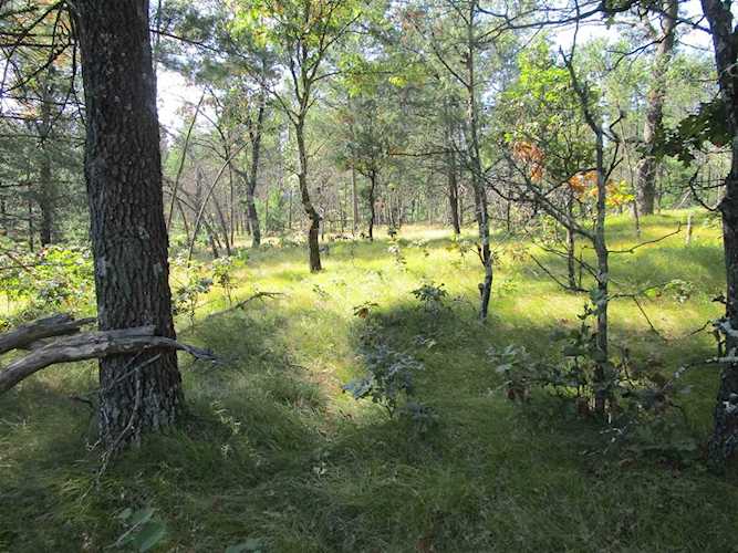 00 15th Ave Big Flats, WI 54613