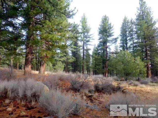 16695 Evergreen Hills Dr Reno, NV 89511