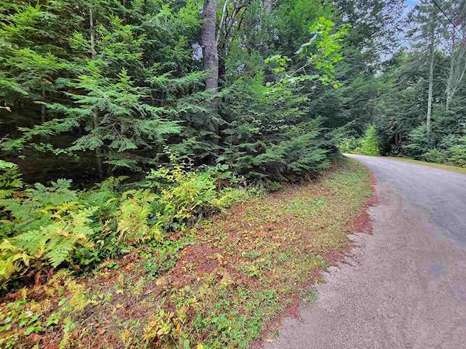 201-288 White Mountain Rd #288 Haverhill, NH 03785