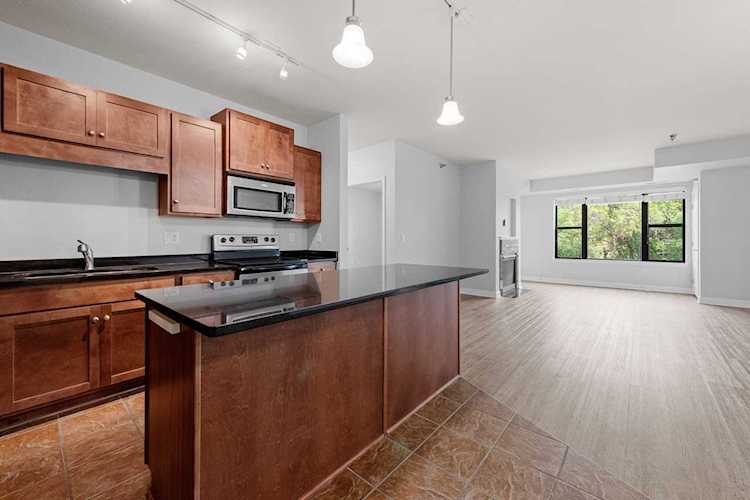 1155 Ford Road #203 Saint Louis Park, MN 55426