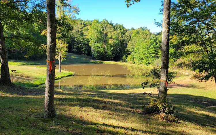 0 John Laurel Murphy, NC 28906