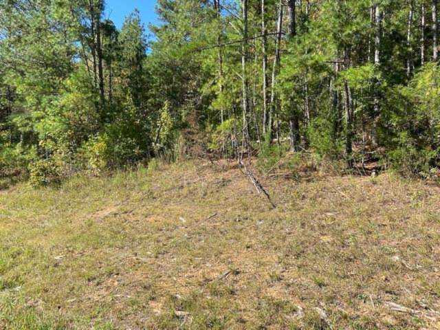 LOT 19 & LOT 20 142 Hwy Shiloh, TN 38376 | MLS 10134438 Photo 1