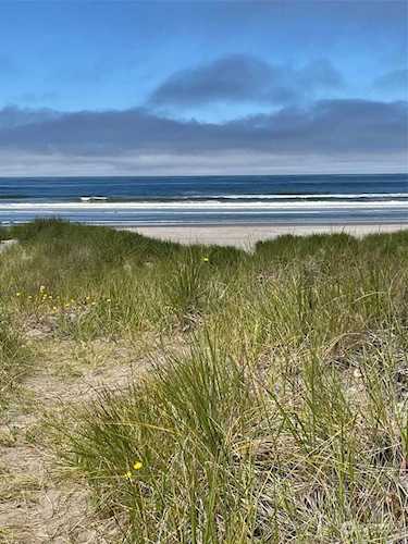 268 XX J Ln Ocean Park, WA 98640