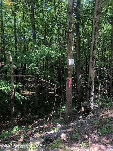 150 Black Walnut Ln Jim Thorpe, PA 18229