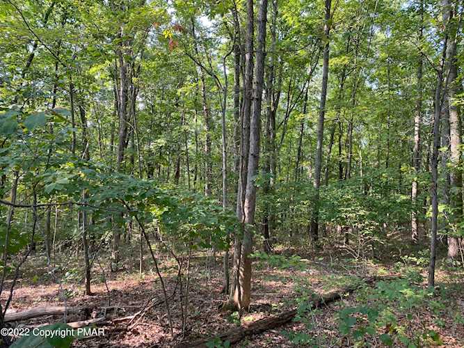 Lot 312 Pine Creek DR East Stroudsburg, PA 18302
