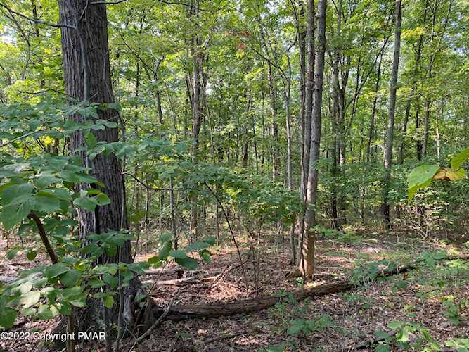 Lot 315 Pine Creek DR East Stroudsburg, PA 18302