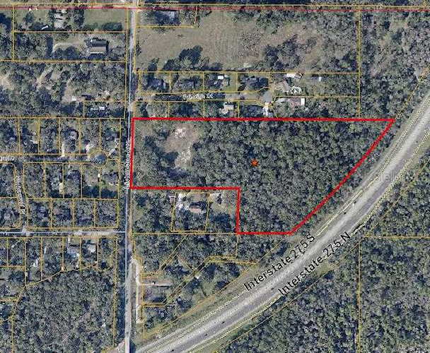 Livingston Lutz, FL 33559 | MLS T3405340 Photo 1