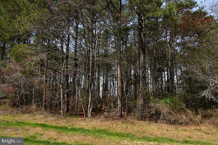 Lot 862 Broadside Drive Greenbackville, VA 23356