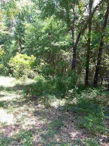 0 Robinson Oak Dr Tallahassee, FL 32303 in No Photo 1