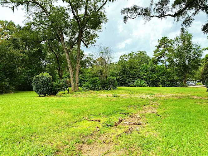 1202 Claude Pichard Dr Tallahassee, FL 32308 in Brockswood Park Photo 1