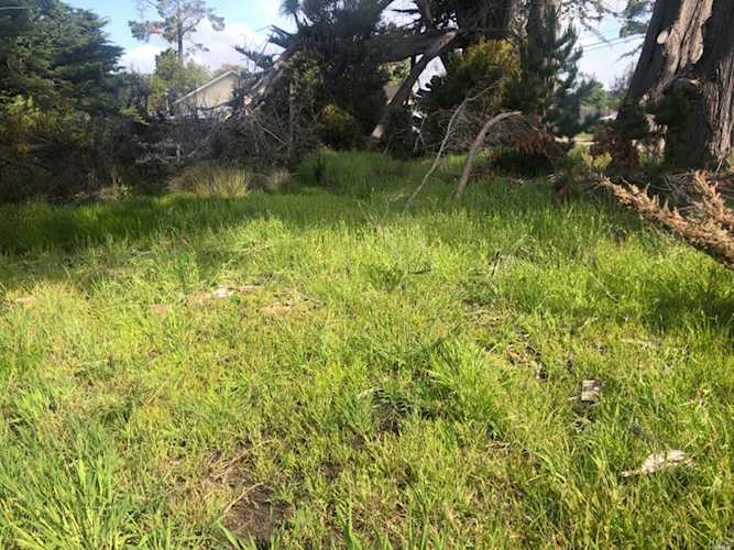 229 Birch Road Bolinas, CA 94924 | MLS 322087392 Photo 1