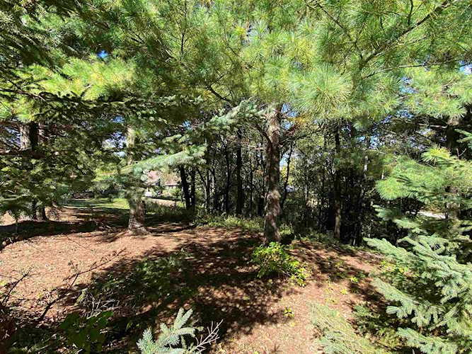 0 W Forest Ridge Tr Evansville, WI 53536