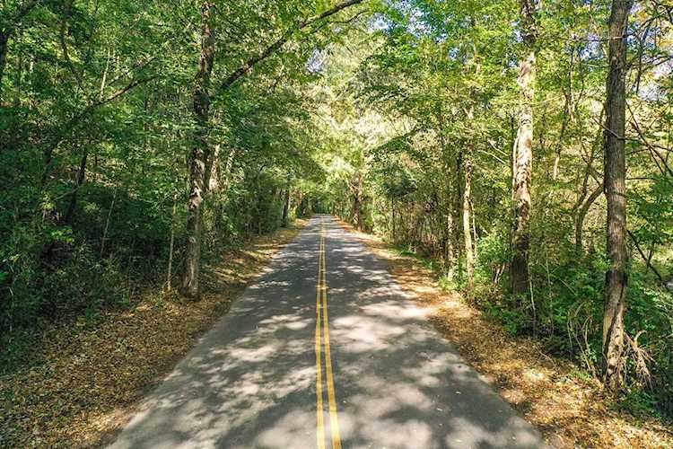 0 Dry Fork Rd Whites Creek, TN 37189