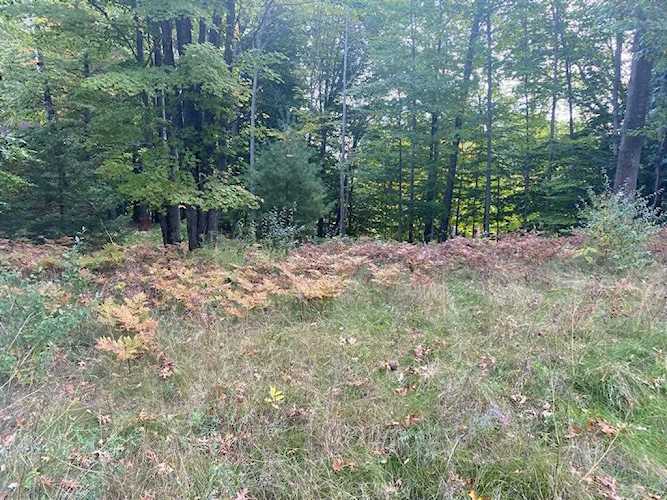 5312 W Riverside Ln Pere Marquette Twp, MI 49431