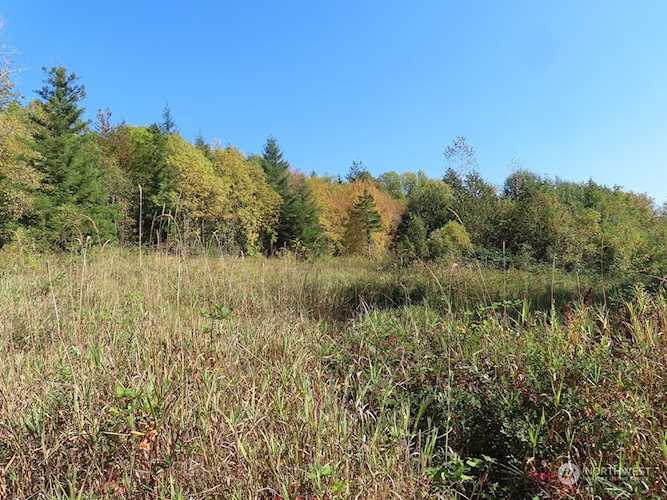 0 XXX Burchett Rd Onalaska, WA 98570 MLS# 2004805 | PNWR.com Photo 1
