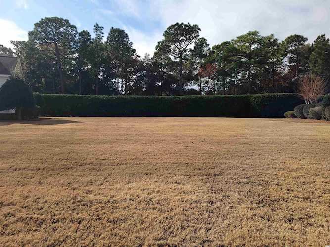 The Reserve in Pawleys Island Real Estate | MLS 2127380 | 152 Cottage Ct. Pawleys Island SC Photo 1