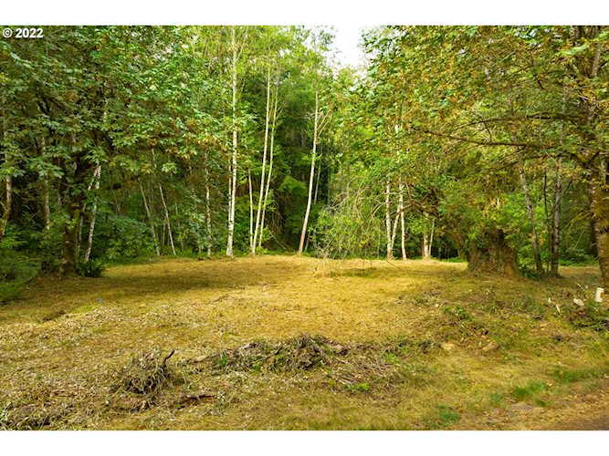00 NE Echo Ridge RD Brush Prairie, WA 98606