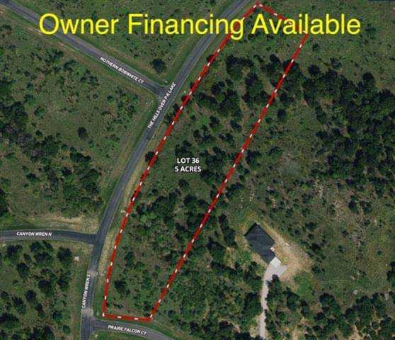 Prairie Falcon Court Graford, TX 76449