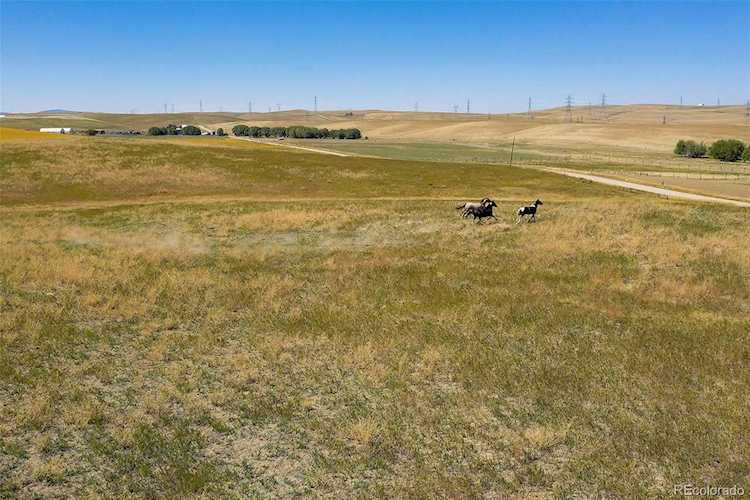 000 Routt Cr 51C Hayden, CO 81639 | MLS 2269908 Photo 1