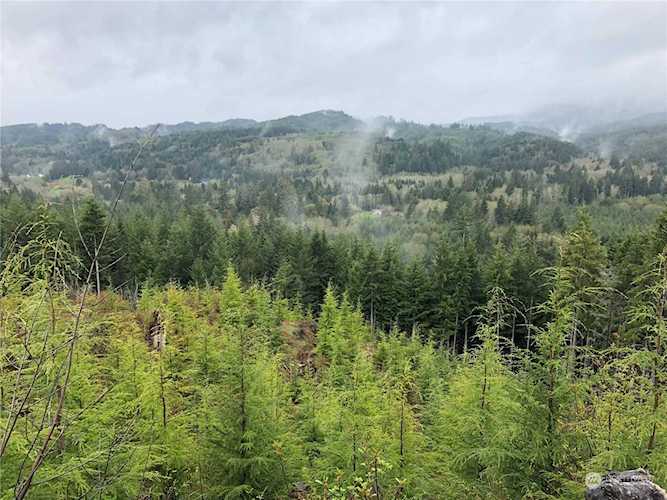 0 Keyser Rd Cathlamet, WA 98612