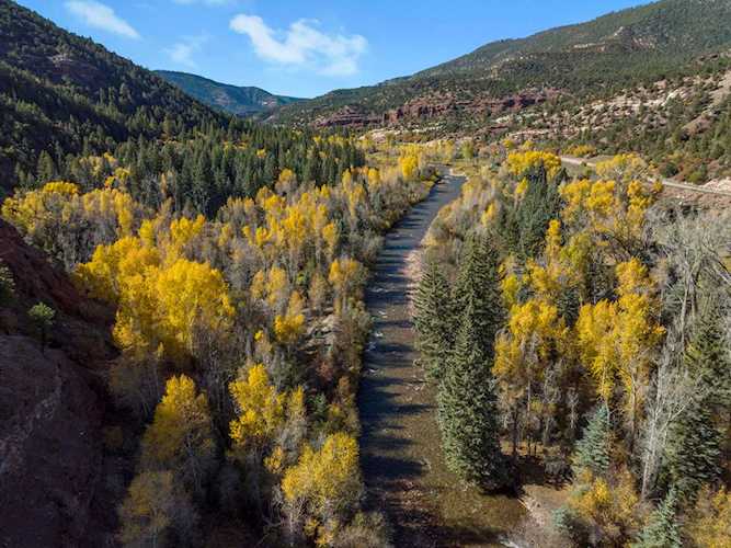 26001 Highway 145 Placerville, COLORADO 81430