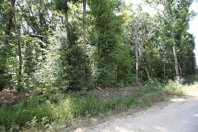 10 Lakeview Dr Cottonton, AL 36851 | MLS 68739 Photo 1