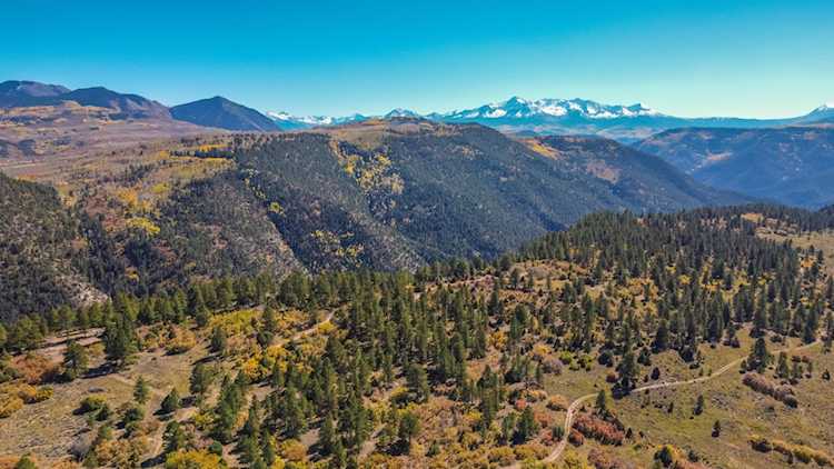 TBD High Bluff Dr Placerville, COLORADO 81430