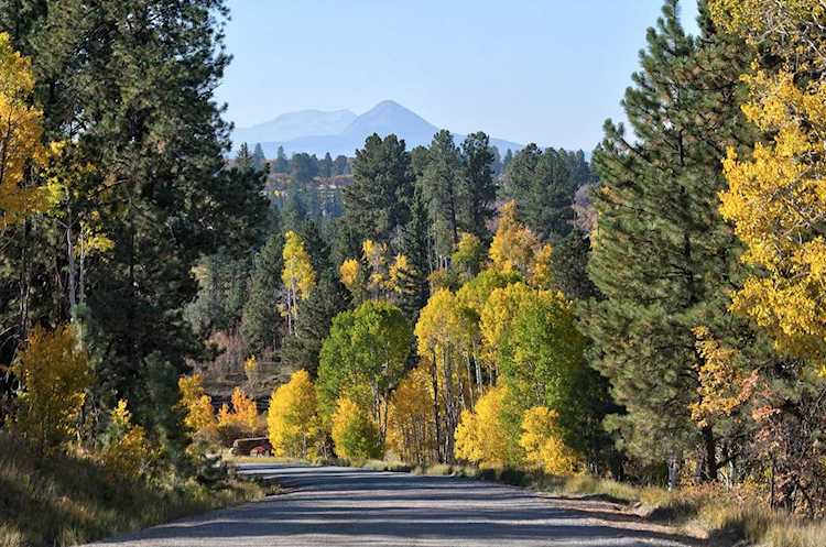 Lot 5 Sage Grouse Rd #5 Placerville, COLORADO 81430 | MLS 40595 Photo 1