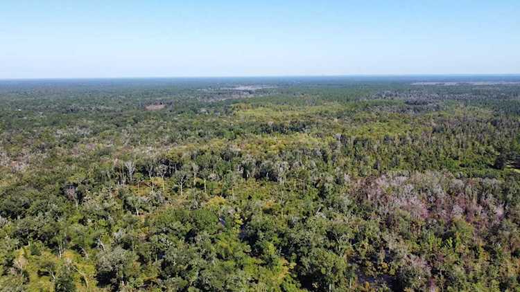 XXXX Coastal - Lot 1 Hwy Crawfordville, FL 32327