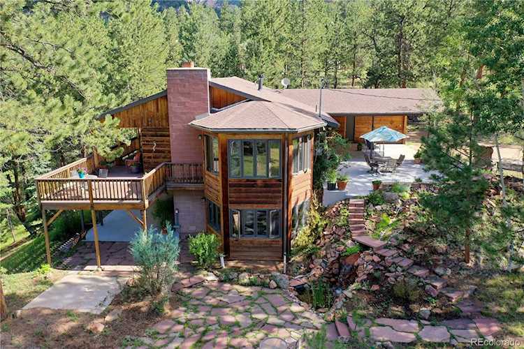 11815 S Stallion Dr Pine, CO 80470