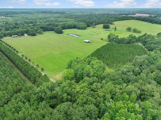 740 Kinsey Rd Monticello, FL 32344