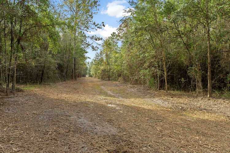 11504 Kelli Loop Tallahassee, FL 32305
